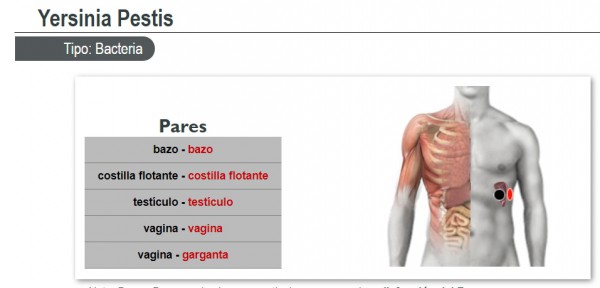 yersinia pestis